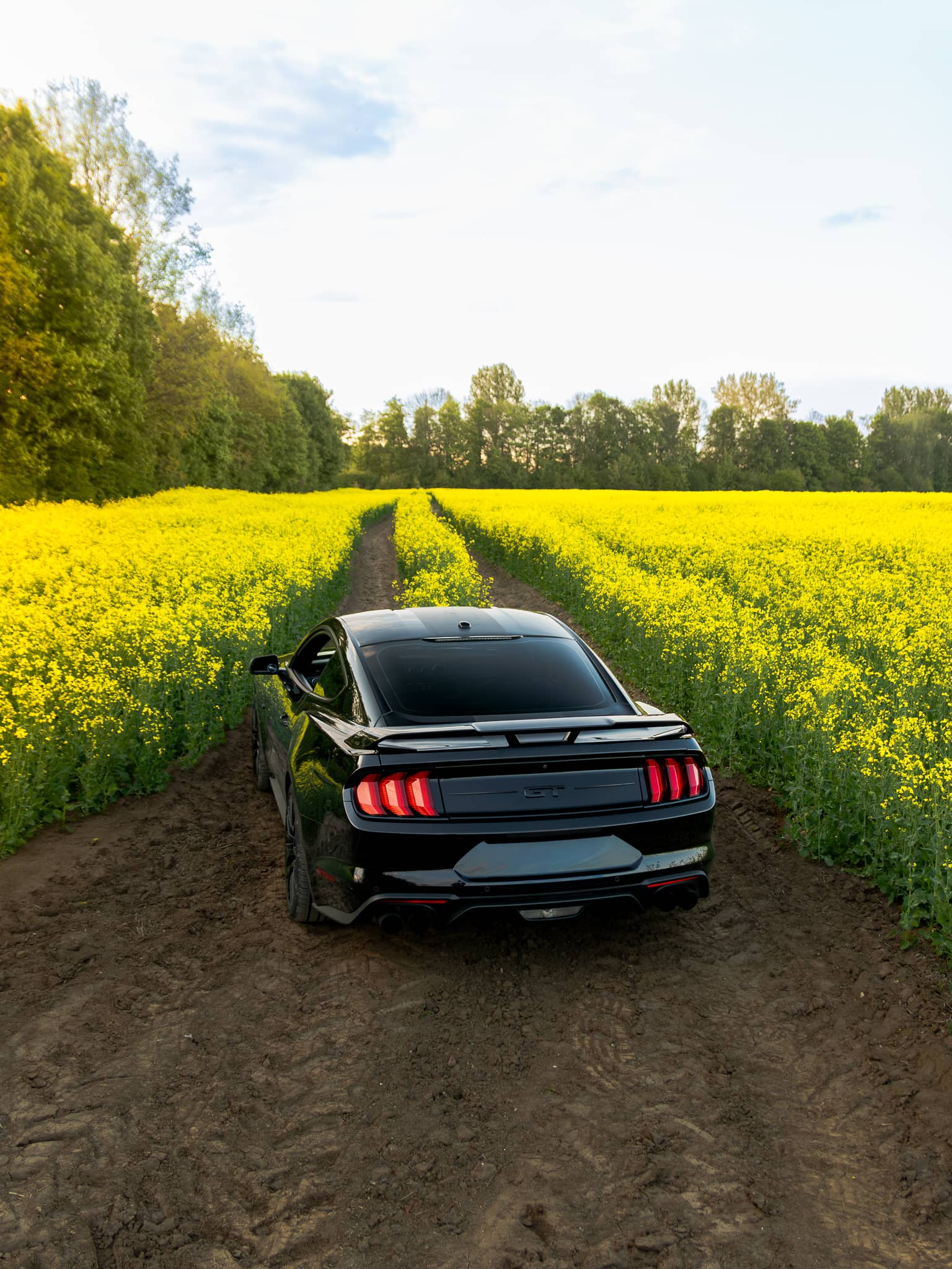 Wynajem Ford Mustang GT Gdańsk — Ford