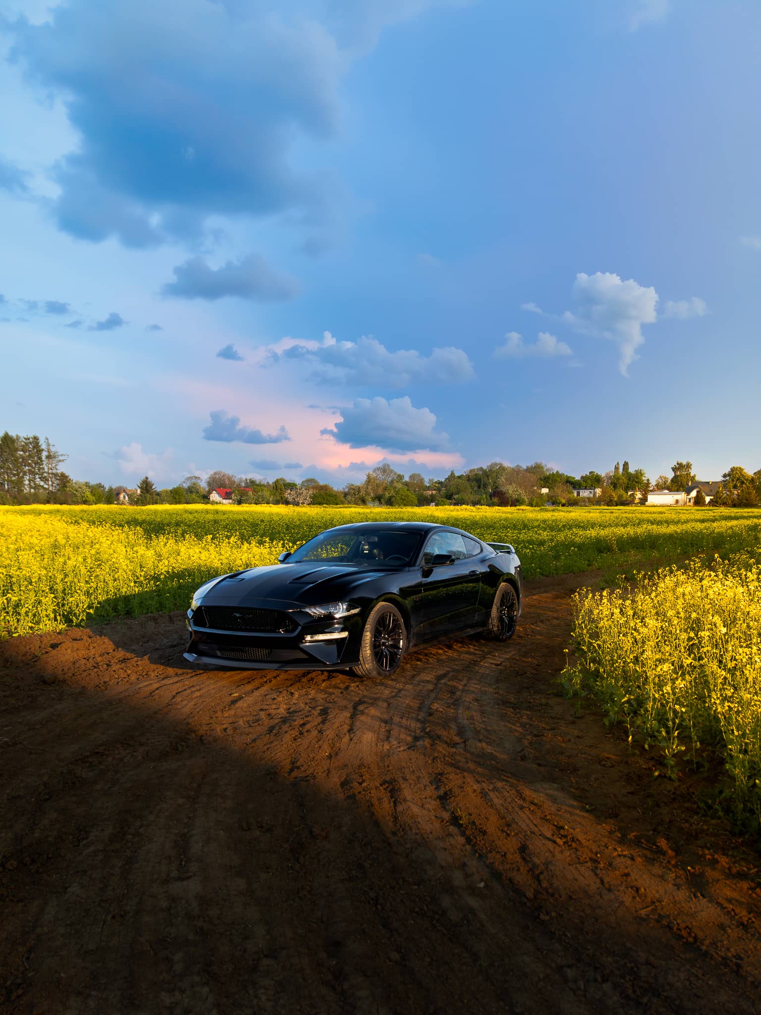 Wynajem Ford Mustang GT Gdańsk — Ford