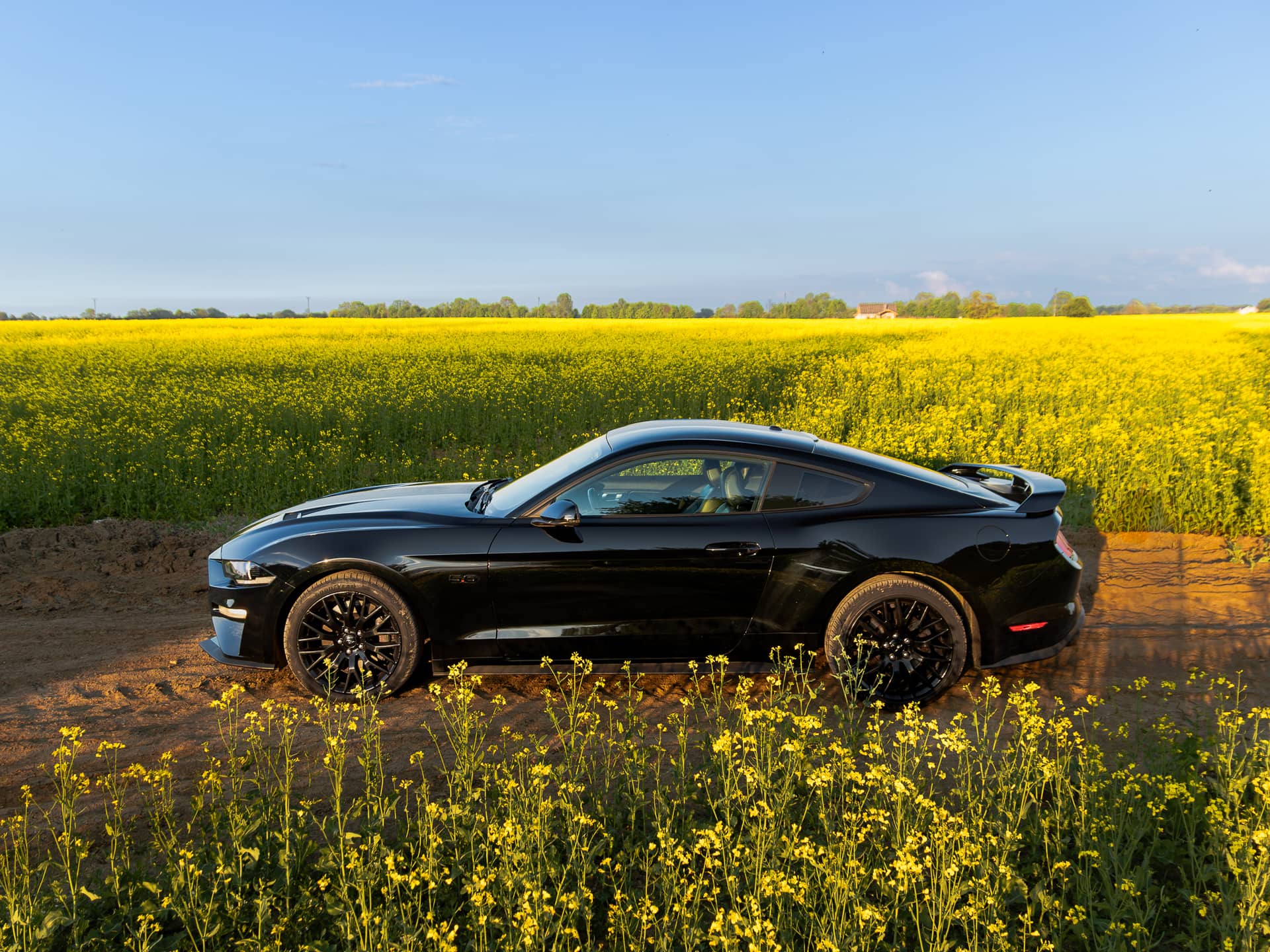 Wynajem Ford Mustang GT Gdańsk — Ford