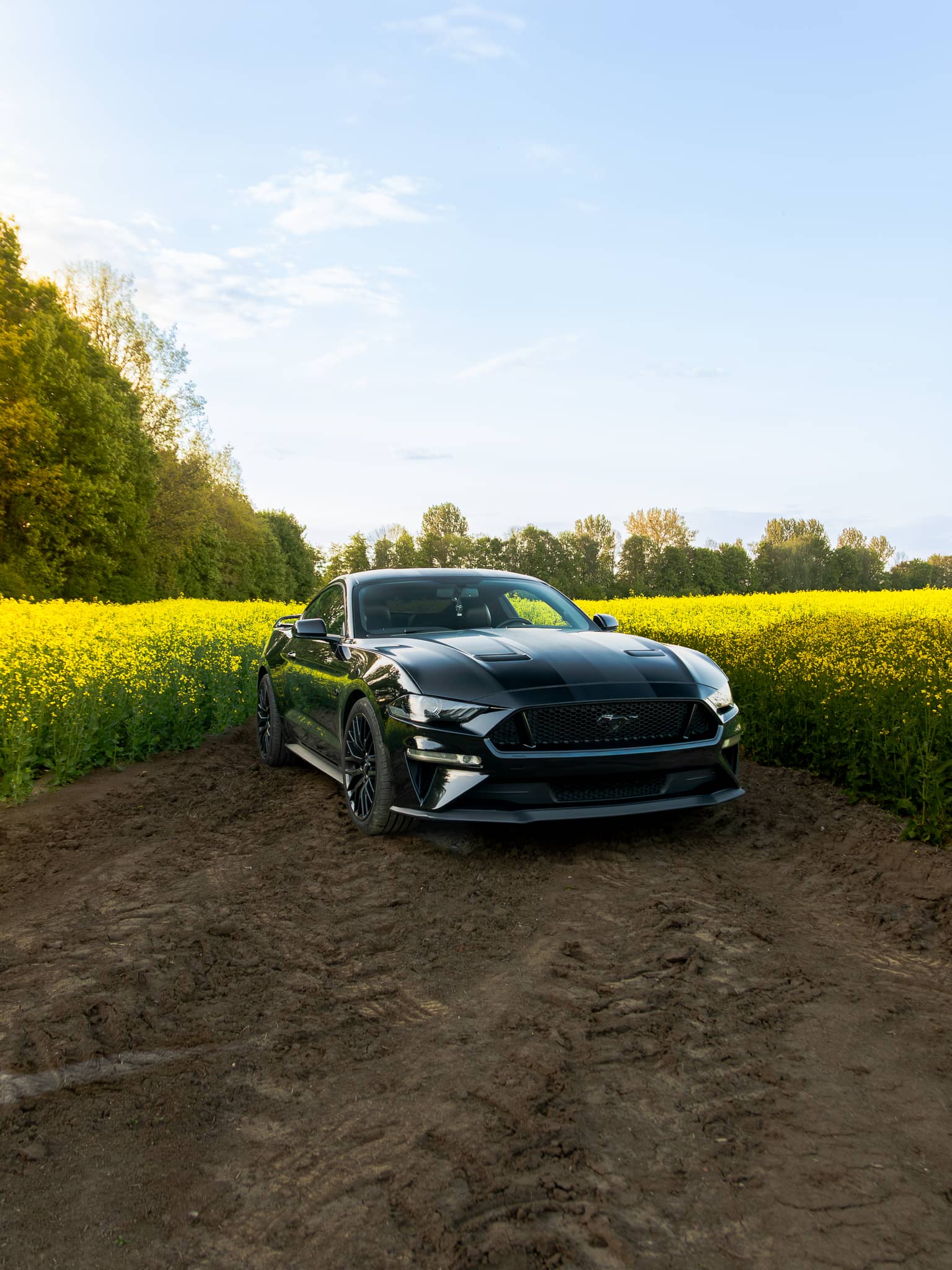 Wynajem Ford Mustang GT Gdańsk — Ford