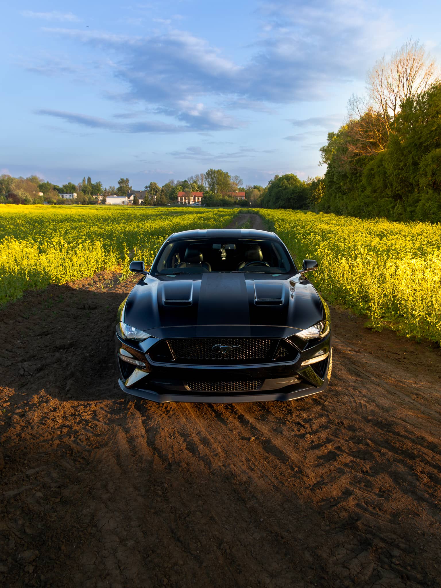 Wynajem Ford Mustang GT Gdańsk — Ford