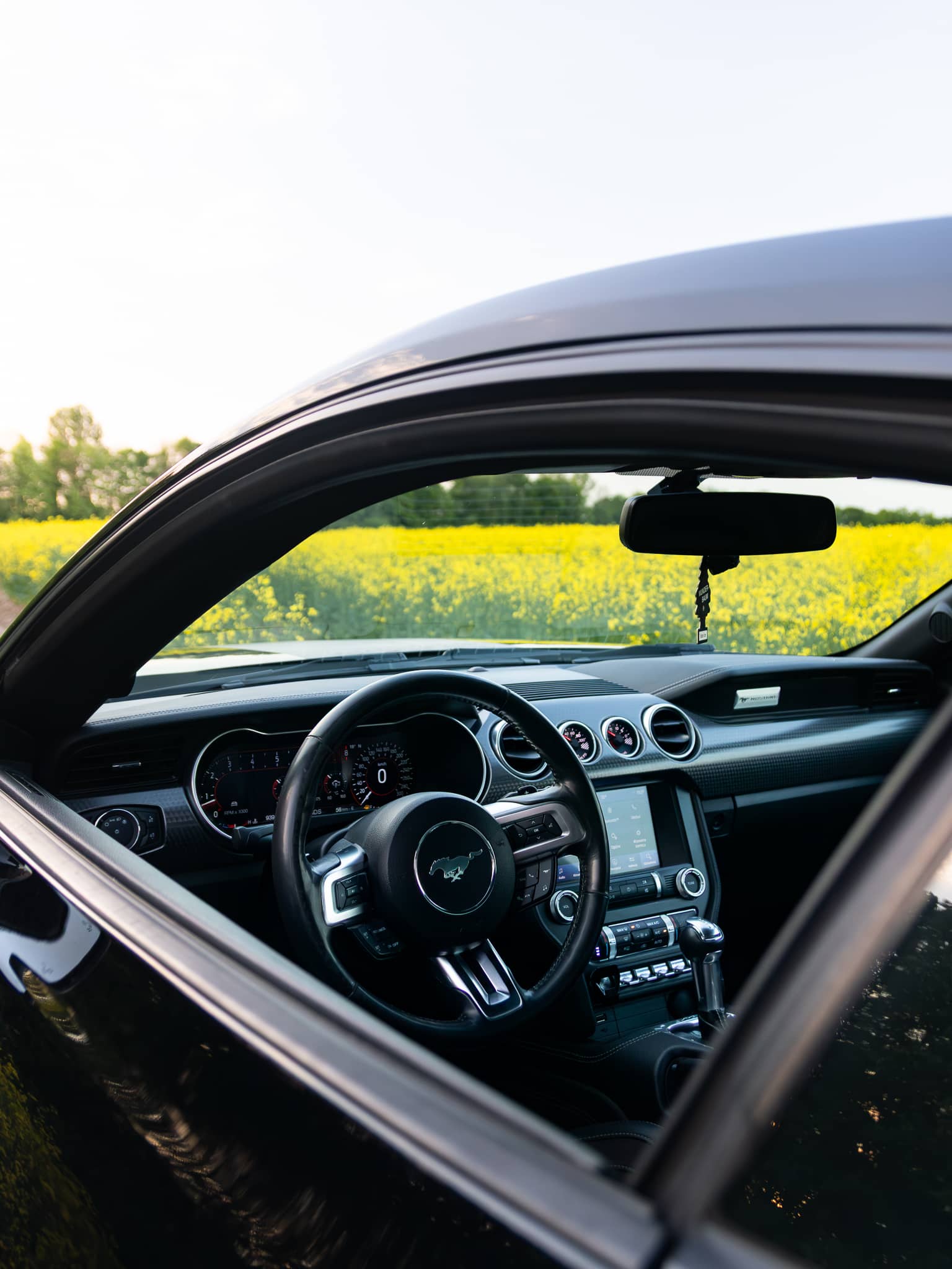 Wynajem Ford Mustang GT Gdańsk — Ford