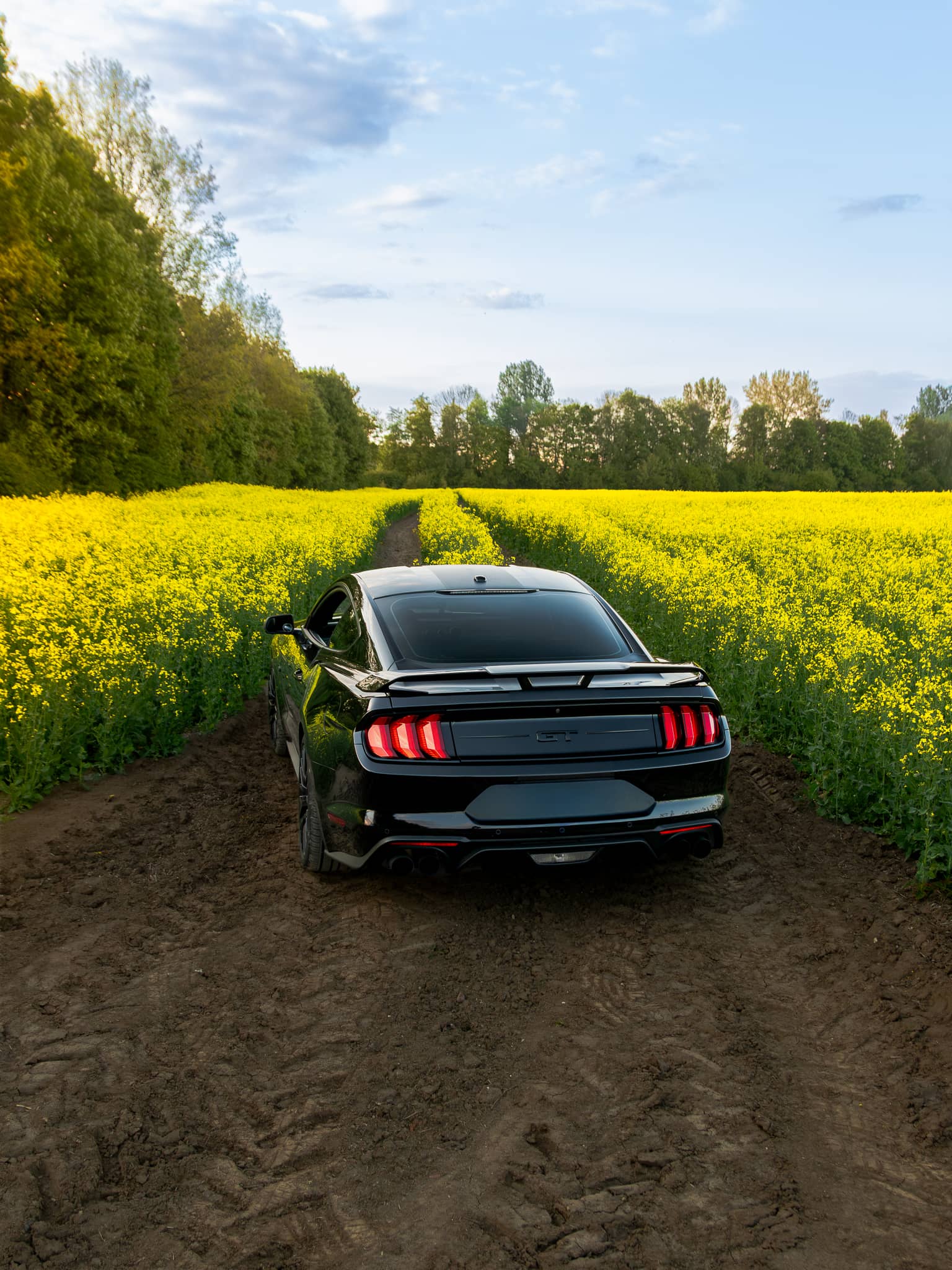 Wynajem Ford Mustang GT Gdańsk — Ford