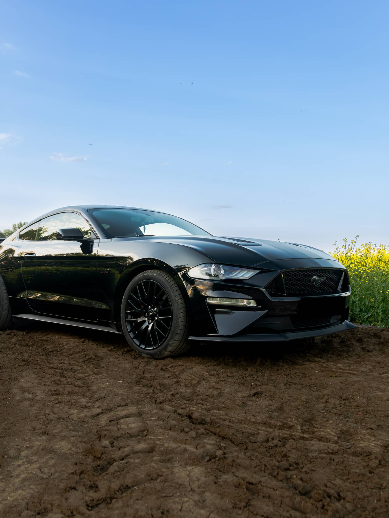 Wynajem Ford Mustang GT Gdańsk — Ford