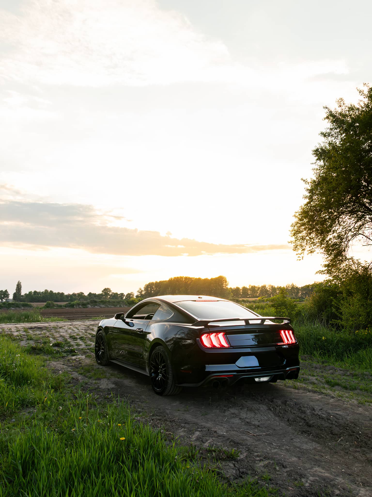 Wynajem Ford Mustang GT Gdańsk — Ford