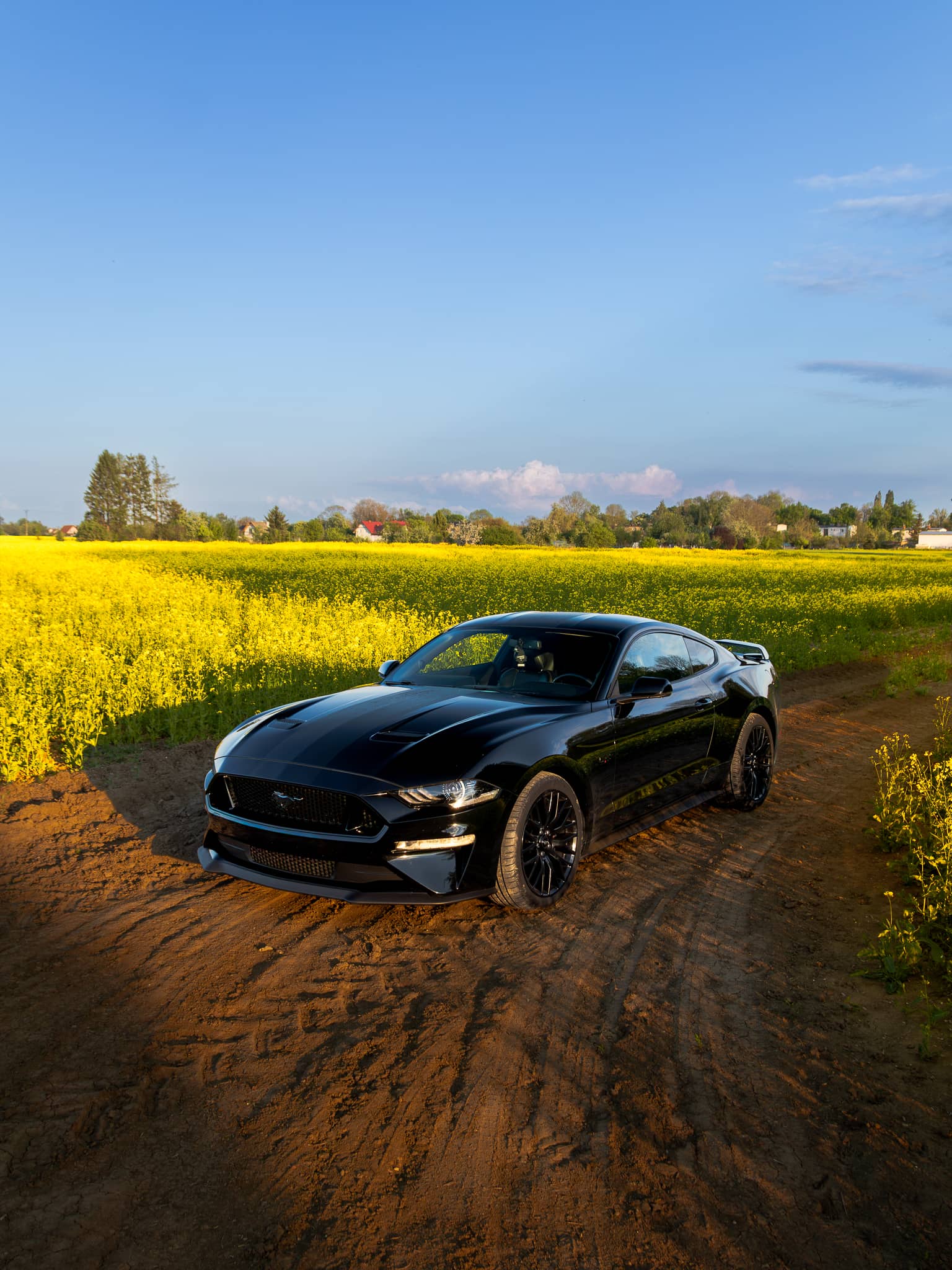 Wynajem Ford Mustang GT Gdańsk — Ford