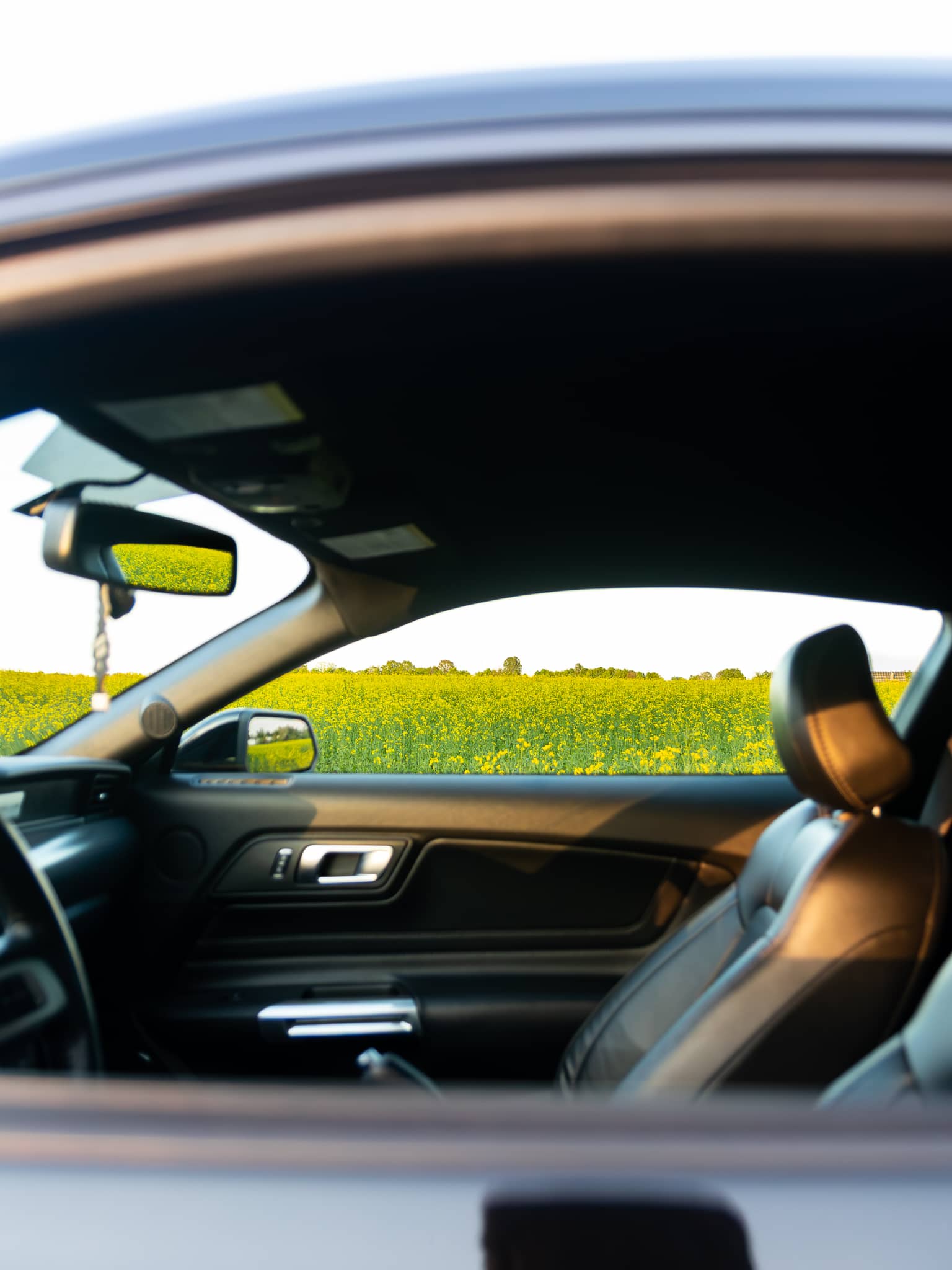 Wynajem Ford Mustang GT Gdańsk — Ford
