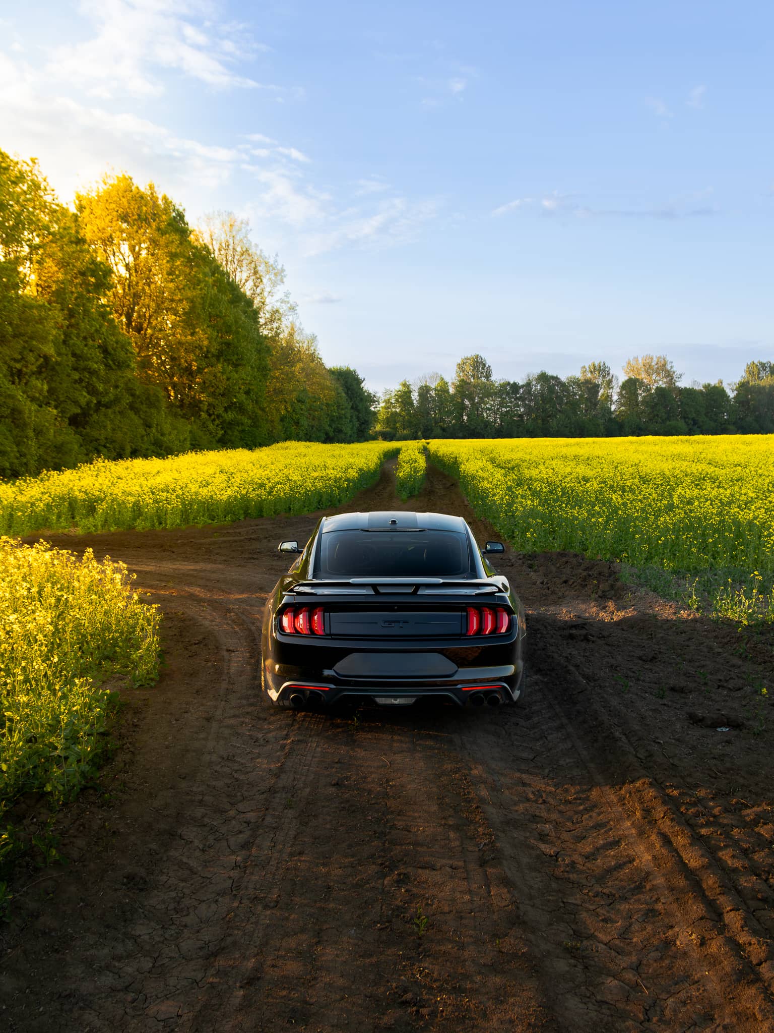 Wynajem Ford Mustang GT Gdańsk — Ford