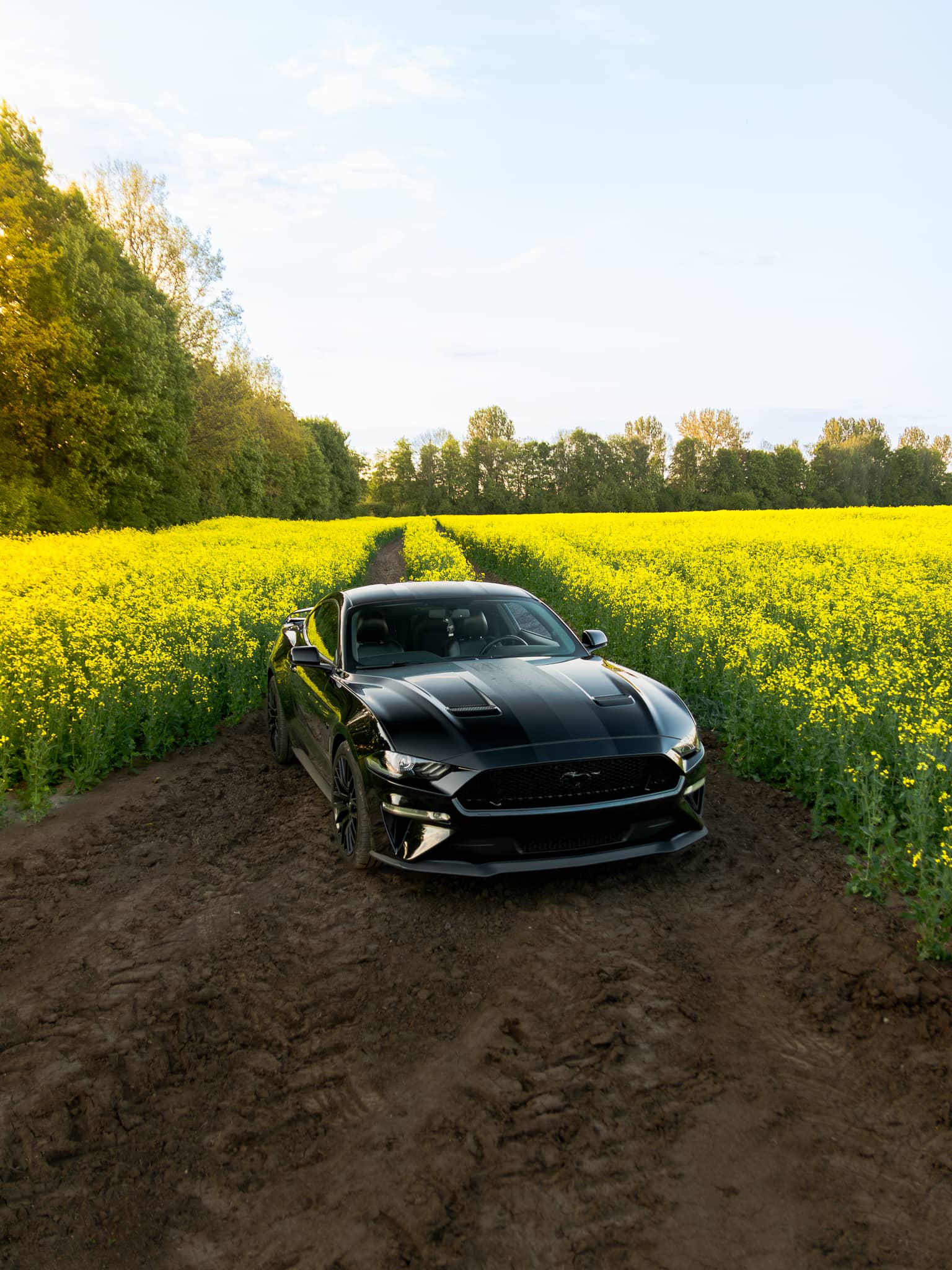 Wynajem Ford Mustang GT Gdańsk — Ford