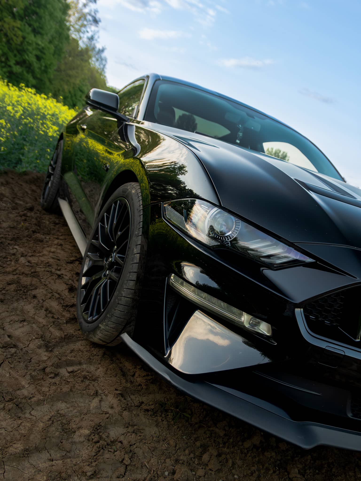 Wynajem Ford Mustang GT Gdańsk — Ford