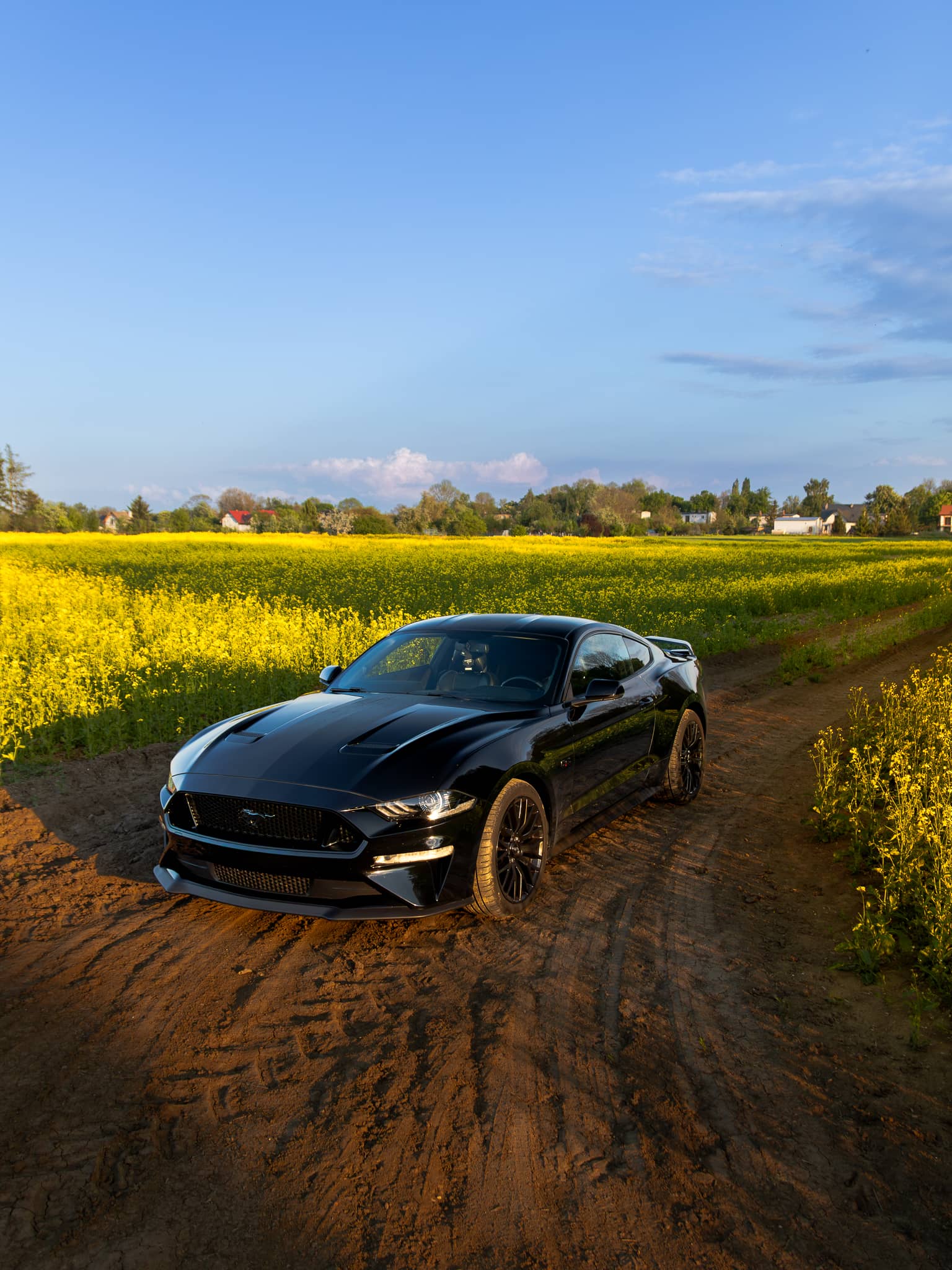Wynajem Ford Mustang GT Gdańsk — Ford