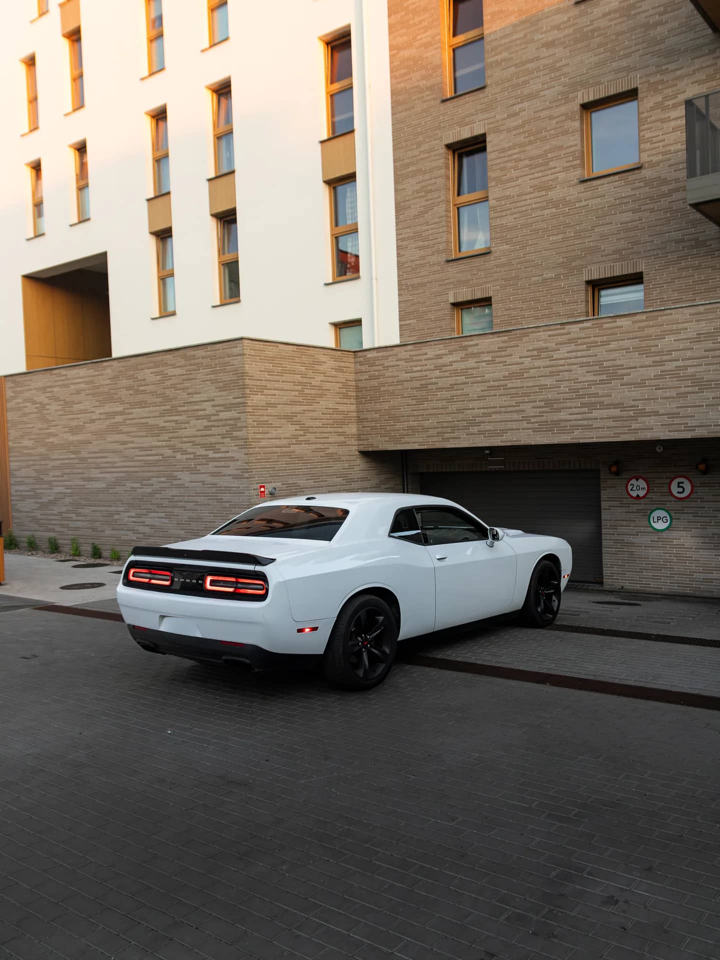 IMG_3924