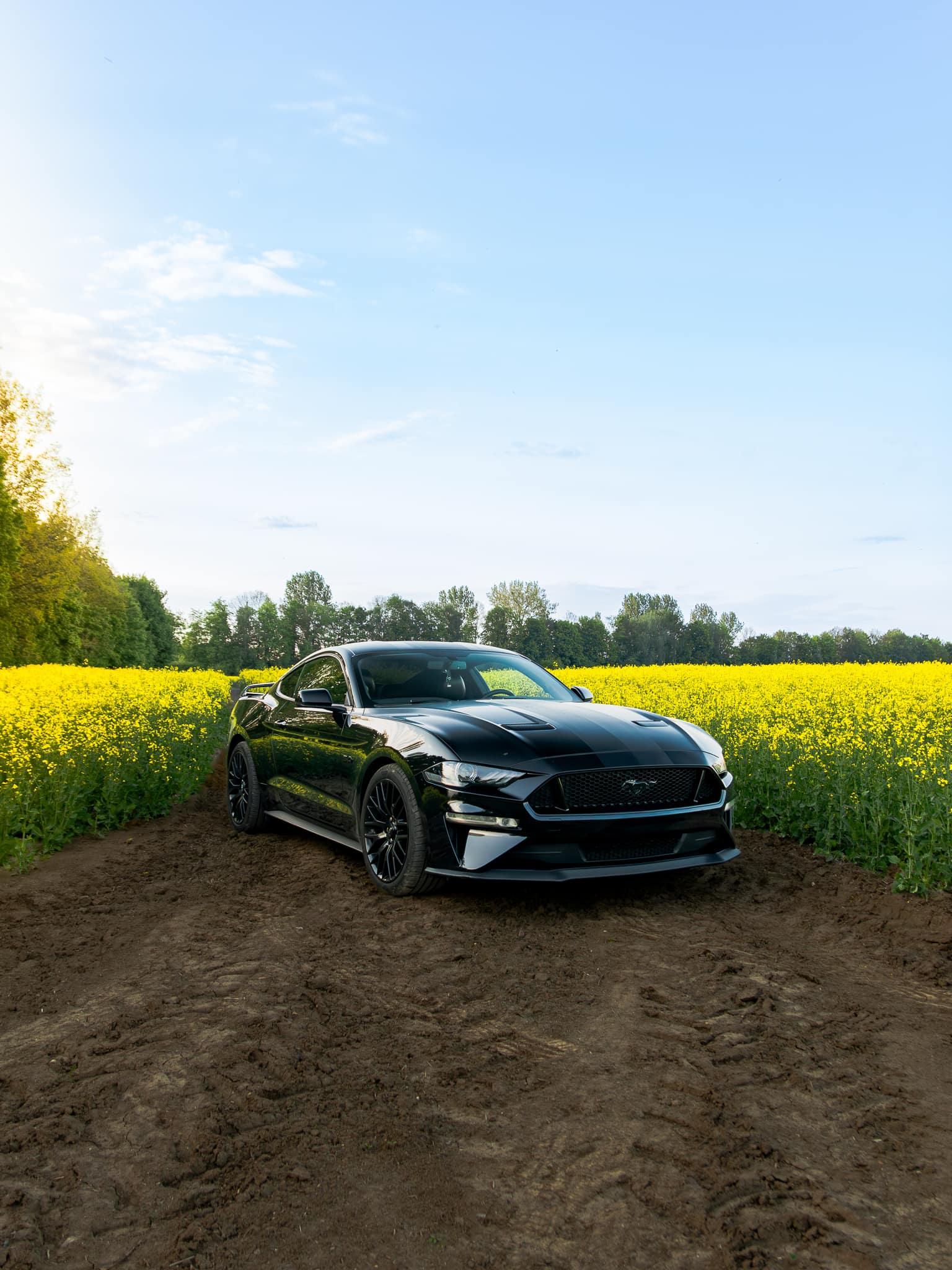 Wynajem Ford Mustang GT Gdańsk — Ford