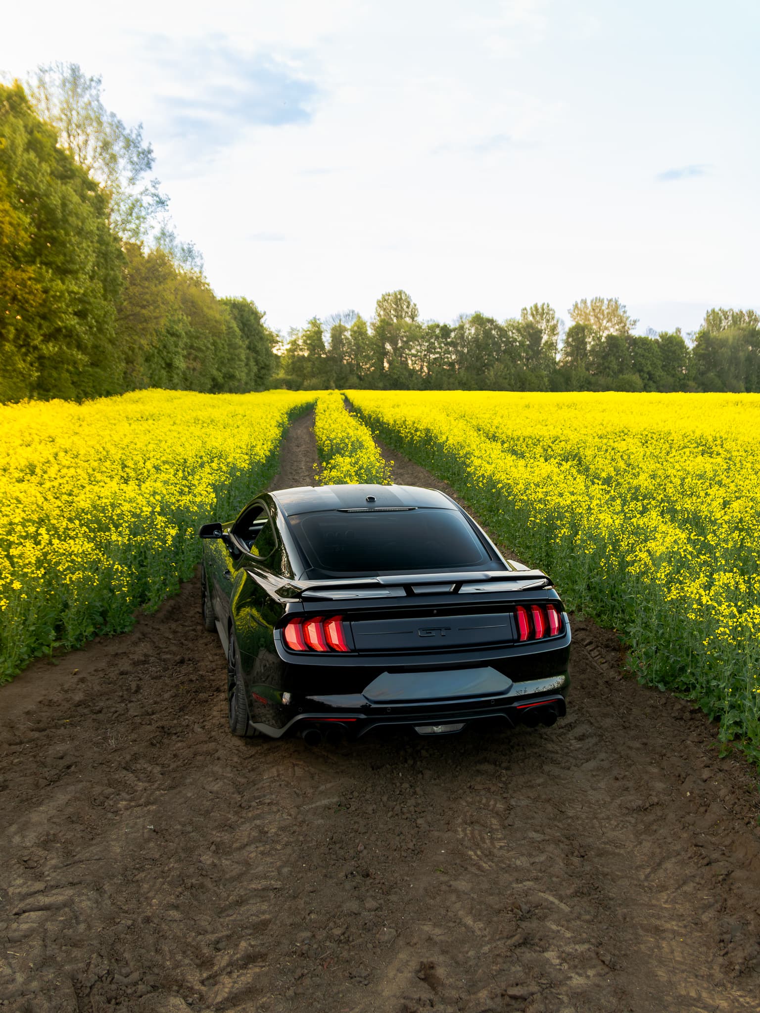 Wynajem Ford Mustang GT Gdańsk — Ford