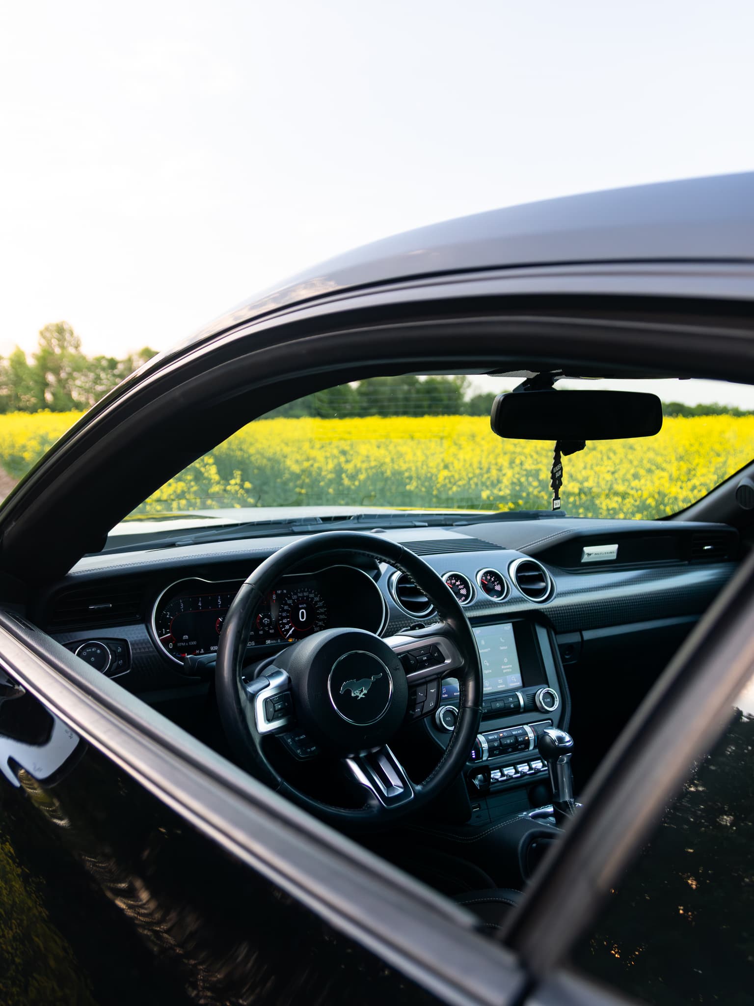 Wynajem Ford Mustang GT Gdańsk — Ford
