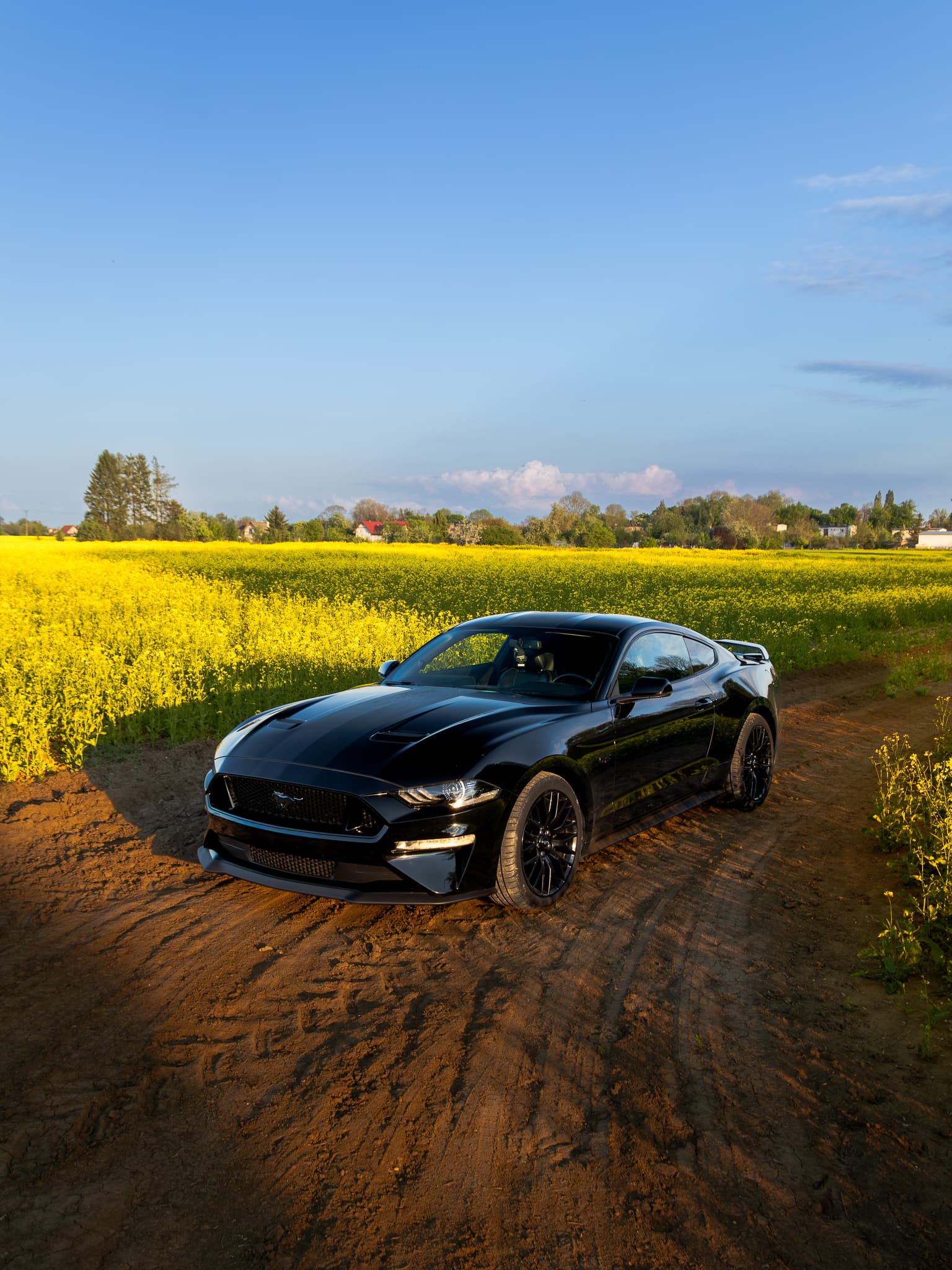 Wynajem Ford Mustang GT Gdańsk — Ford